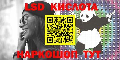 крисы Кунгур