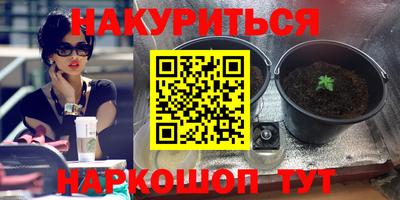 крисы Кунгур