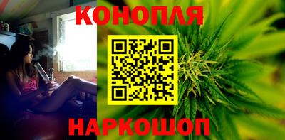 крисы Кунгур