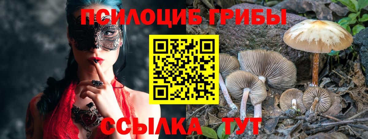 Кизляр  Галлюциногенные грибы MAGIC MUSHROOMS  Вход с VPN 